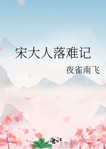 宋大人落难记